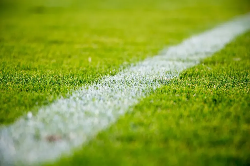 Poznaj legalne sposoby na zakłady sportowe